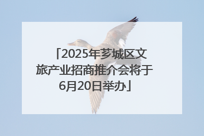 2025年芗城区文旅产业招商推介会将于6月20日举办