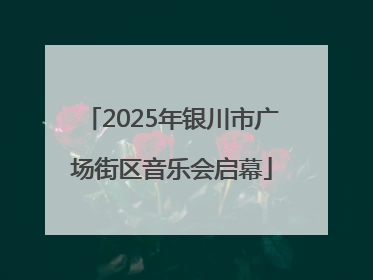 2025年银川市广场街区音乐会启幕