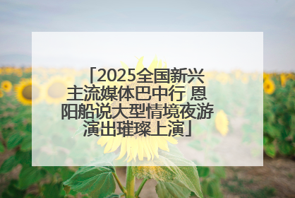 2025全国新兴主流媒体巴中行 恩阳船说大型情境夜游演出璀璨上演