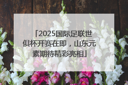 2025国际足联世俱杯开赛在即，山东元素期待精彩亮相