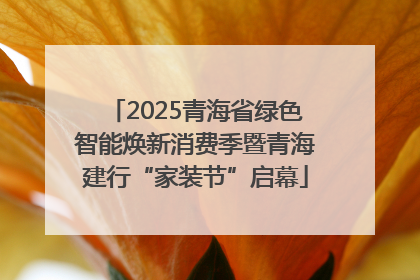 2025青海省绿色智能焕新消费季暨青海建行“家装节”启幕