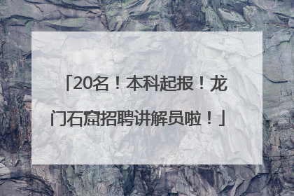 20名！本科起报！龙门石窟招聘讲解员啦！