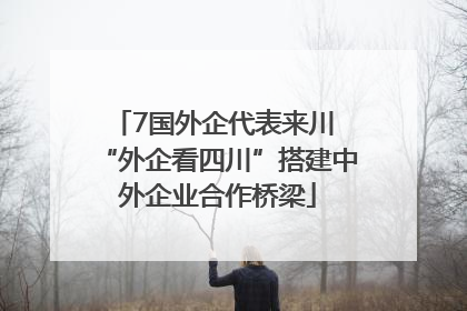 7国外企代表来川 “外企看四川”搭建中外企业合作桥梁