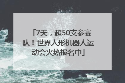 7天，超50支参赛队！世界人形机器人运动会火热报名中