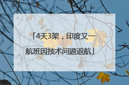 4天3架，印度又一航班因技术问题返航