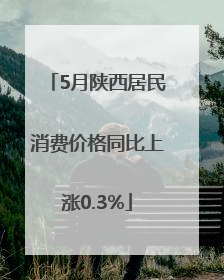 5月陕西居民消费价格同比上涨0.3%