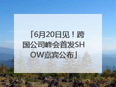 6月20日见！跨国公司峰会首发SHOW嘉宾公布