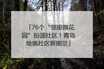 76个“邻里微花园”扮靓社区！青岛绘就社区新图景
