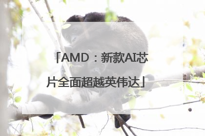 AMD：新款AI芯片全面超越英伟达