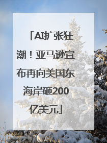 AI扩张狂潮！亚马逊宣布再向美国东海岸砸200亿美元