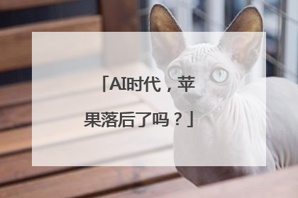 AI时代，苹果落后了吗？