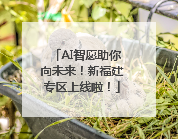 AI智愿助你向未来！新福建专区上线啦！