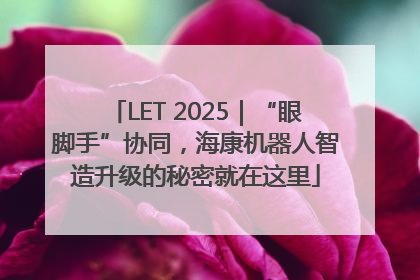 LET 2025｜“眼脚手”协同，海康机器人智造升级的秘密就在这里